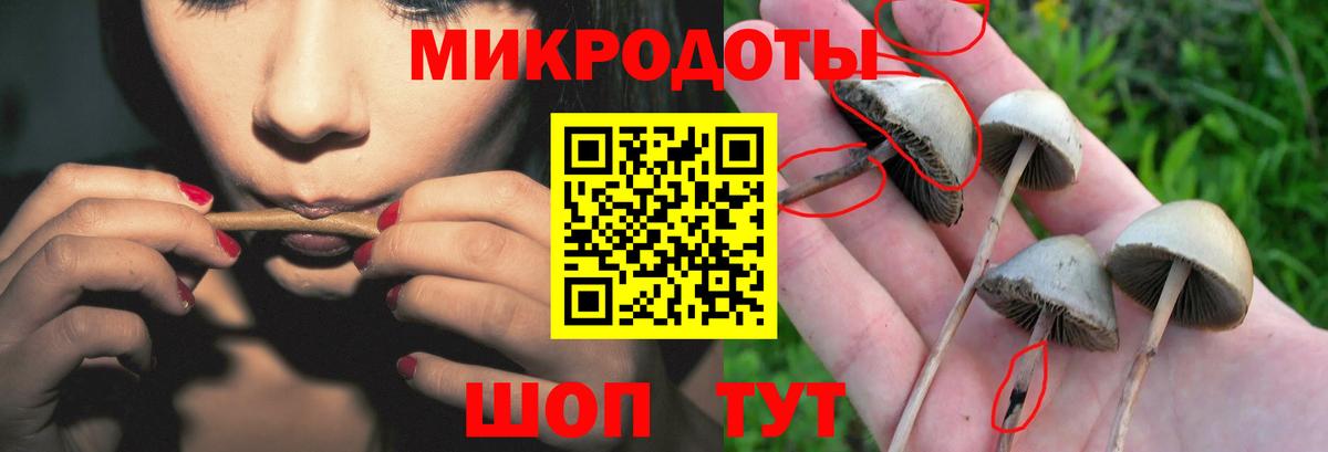 Галлюциногенные грибы GOLDEN TEACHER  Вход с VPN  Галлюциногенные грибы мухоморы  Ишим 